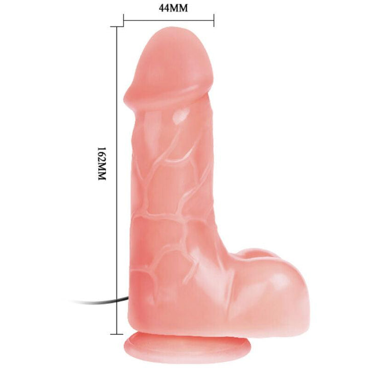 BAILE - INTREPID EMPEROR SUPER DONG REALISTISCHER VIBRATORDILDO - INTIM SPACE Online Sexshop