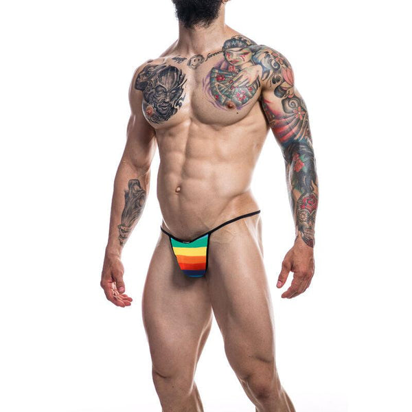 CUT4MEN - BRIEFKINI REGENBOGEN L - INTIM SPACE Online Sexshop