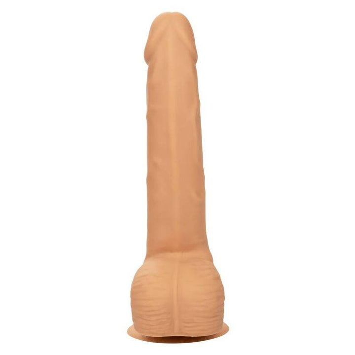 CALEXOTICS - SILIKON-NIETEN 20.32 CM HAUT - INTIM SPACE Online Sexshop