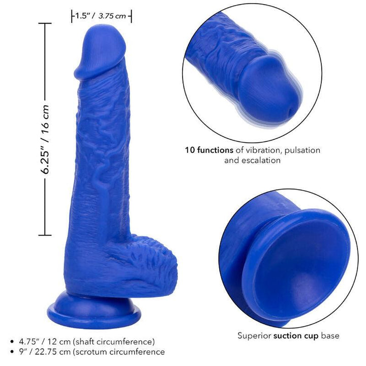 CALEXOTICS - ADMIRAL SAILOR REALISTISCHER DILDO-VIBRATOR BLAU - INTIM SPACE Online Sexshop