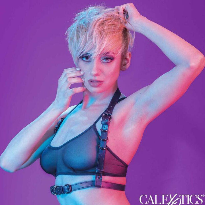 CALEXOTICS - EUPHORIA HALFTERSCHNALLENGESCHIRR SCHWARZ - INTIM SPACE Online Sexshop