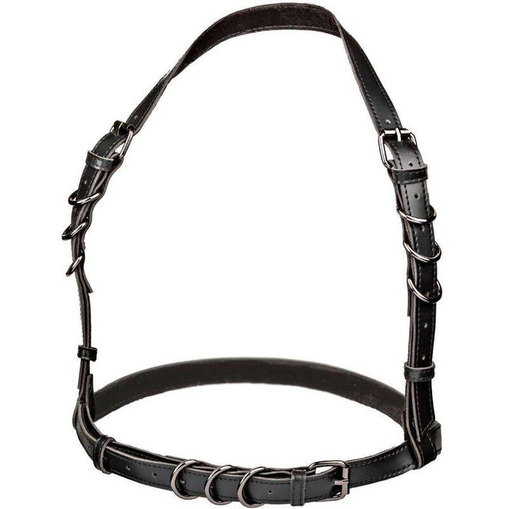 CALEXOTICS - EUPHORIA PLUS SIZE HALTER BUCKLE HARNESS SCHWARZ - INTIM SPACE Online Sexshop