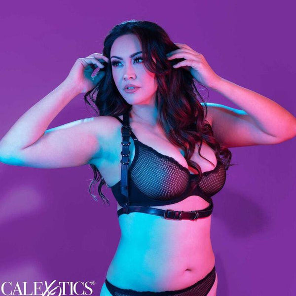 CALEXOTICS - EUPHORIA PLUS SIZE HALTER BUCKLE HARNESS SCHWARZ - INTIM SPACE Online Sexshop