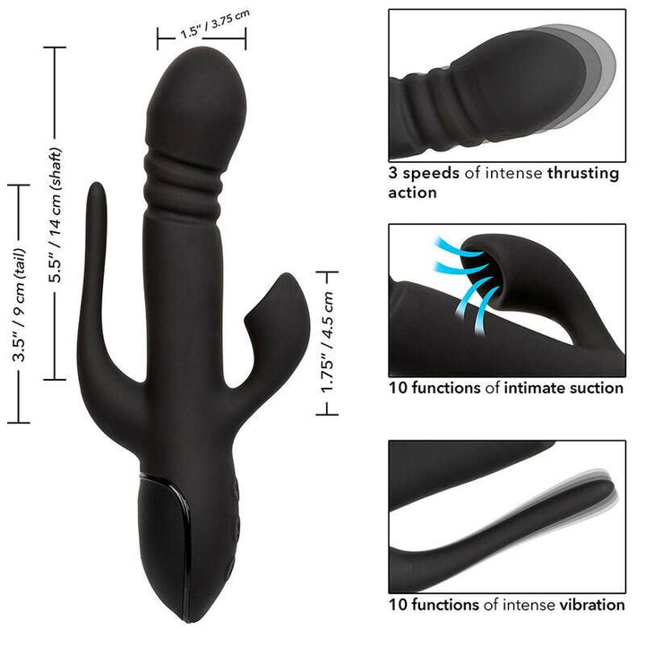 CALEXOTICS - VIBRATOR TRIPLE EUPHORIA SCHWARZ - INTIM SPACE Online Sexshop