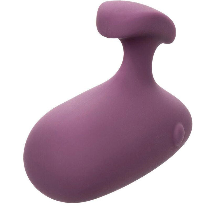 CALEXOTICS - MOD TOUCH STIMULATOR LILA - INTIM SPACE Online Sexshop