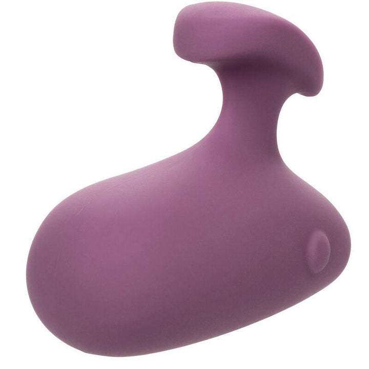 CALEXOTICS - MOD TOUCH STIMULATOR LILA - INTIM SPACE Online Sexshop