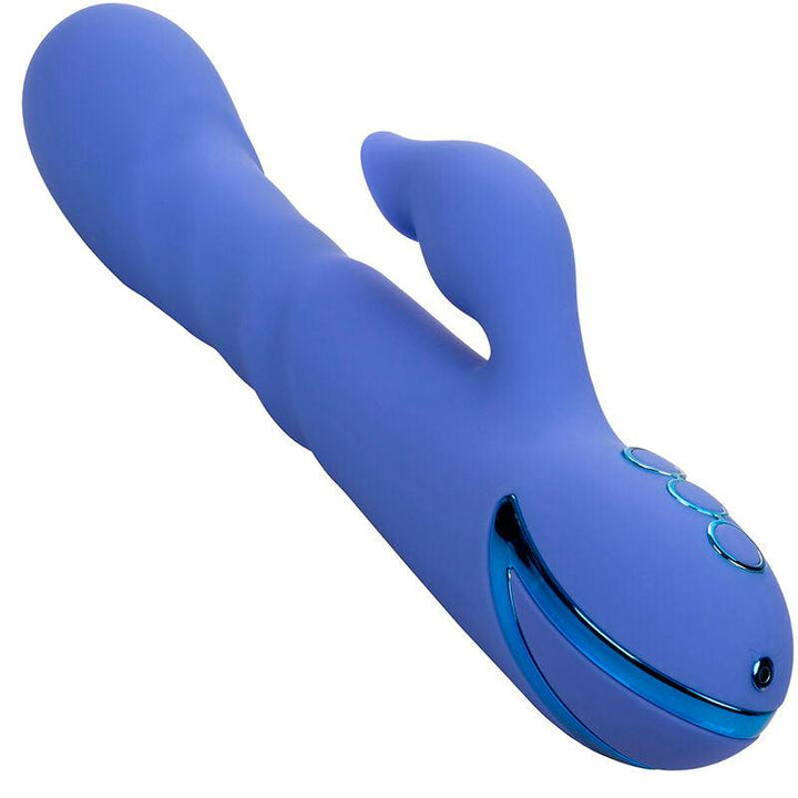 CALEXOTICS - LA LOVE VIBRATOR - SUCKER BLAU VON CALIFORNIA DREAMING - INTIM SPACE Online Sexshop