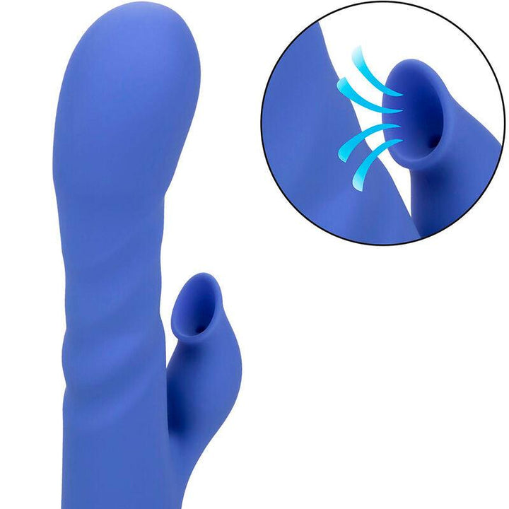 CALEXOTICS - LA LOVE VIBRATOR - SUCKER BLAU VON CALIFORNIA DREAMING - INTIM SPACE Online Sexshop