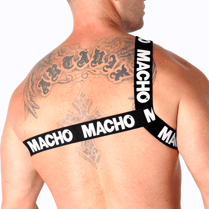 MACHO - RÖMISCHES GESCHIRR WEISS L/XL - INTIM SPACE Online Sexshop