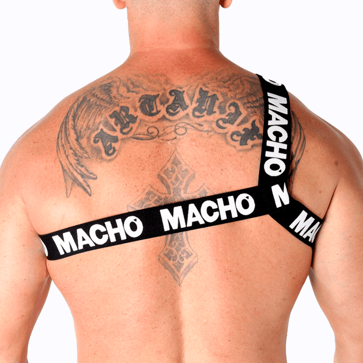 MACHO - RÖMISCHES GESCHIRR WEISS L/XL - INTIM SPACE Online Sexshop