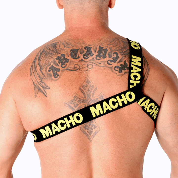 MACHO - RÖMISCHES GESCHIRR GELB L/XL - INTIM SPACE Online Sexshop