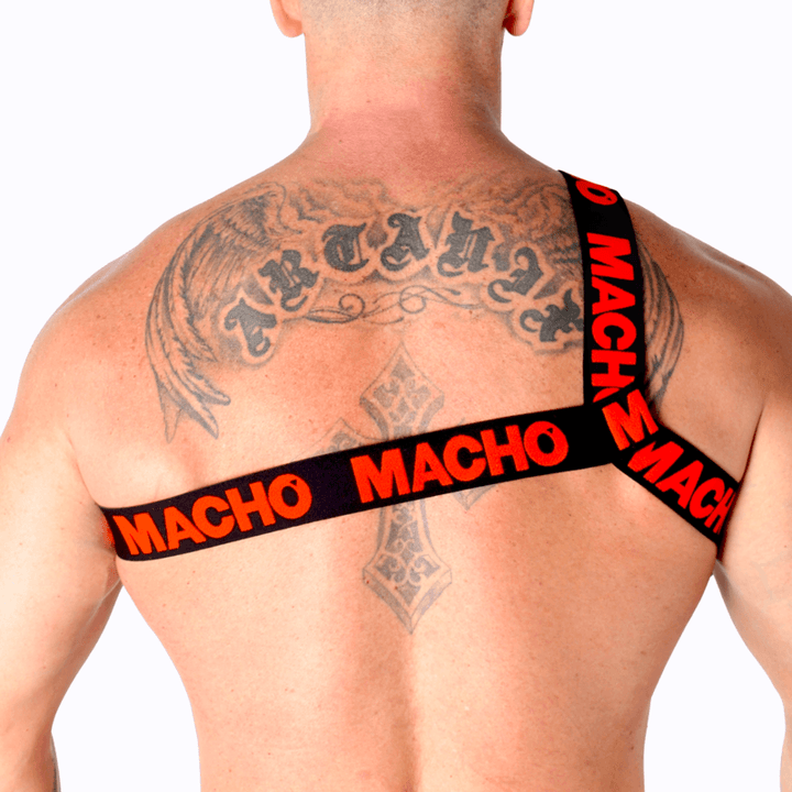 MACHO - RÖMISCHES GESCHIRR ROT L/XL - INTIM SPACE Online Sexshop