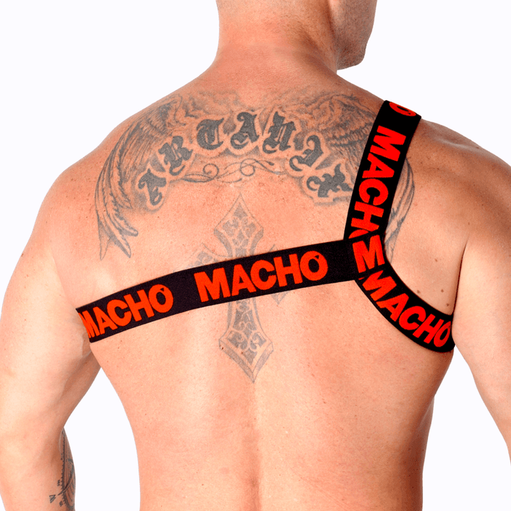 MACHO - RÖMISCHES GESCHIRR ROT L/XL - INTIM SPACE Online Sexshop