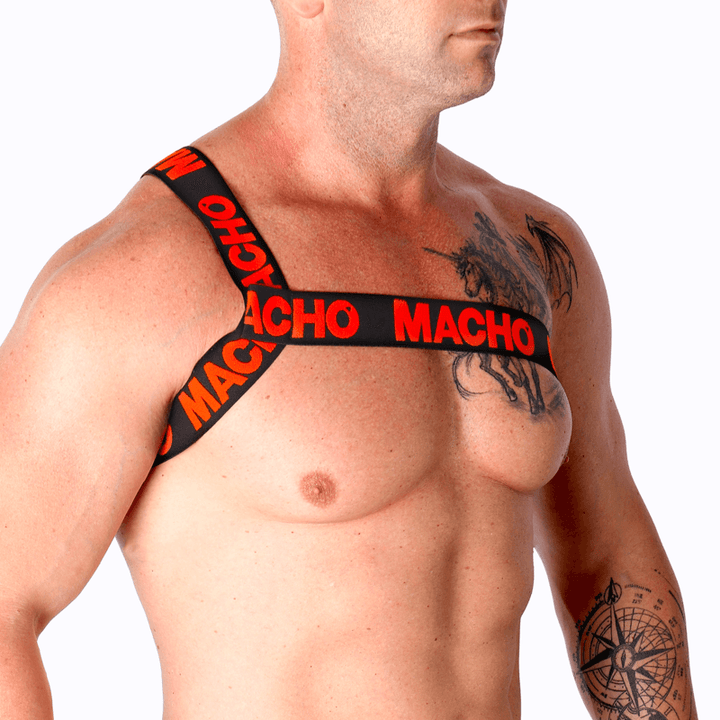 MACHO - RÖMISCHES GESCHIRR ROT L/XL - INTIM SPACE Online Sexshop