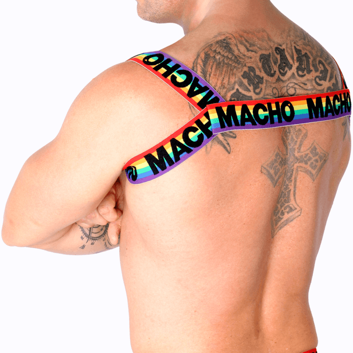 MACHO - RÖMISCHES GESCHIRR PRIDE S/M - INTIM SPACE Online Sexshop