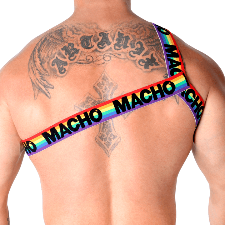 MACHO - RÖMISCHES GESCHIRR PRIDE S/M - INTIM SPACE Online Sexshop