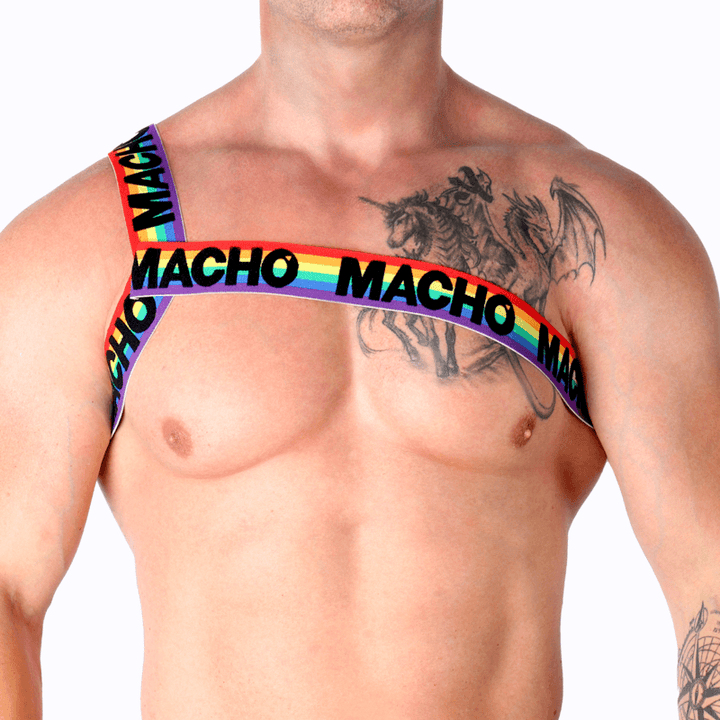 MACHO - RÖMISCHES GESCHIRR PRIDE S/M - INTIM SPACE Online Sexshop