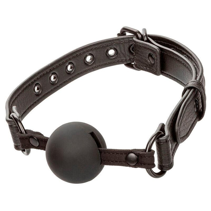 CALEXOTICS - NOCTURNAL BALL GAG SILIKON SCHWARZ - INTIM SPACE Online Sexshop