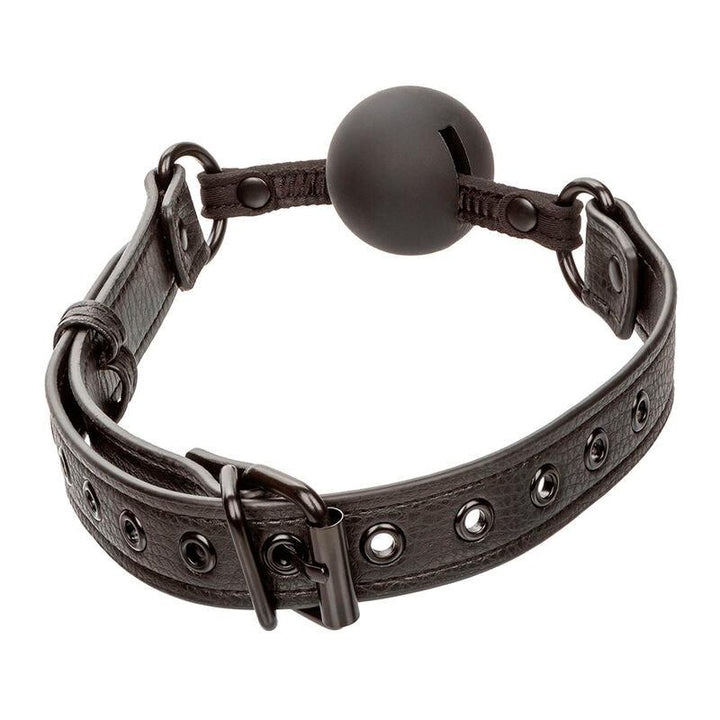 CALEXOTICS - NOCTURNAL BALL GAG SILIKON SCHWARZ - INTIM SPACE Online Sexshop