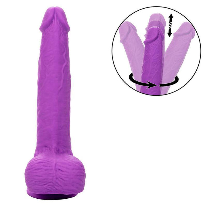 CALEXOTICS - STUDS WIEDERAUFLADBARER UND ROTIERENDER VIBRATOR 10 VIBRATIONEN LILA - INTIM SPACE Online Sexshop