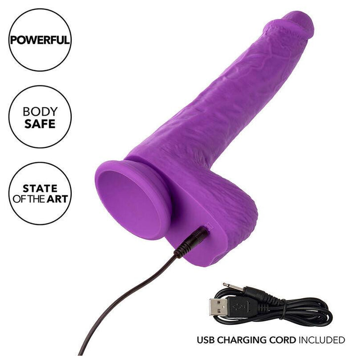 CALEXOTICS - STUDS WIEDERAUFLADBARER UND ROTIERENDER VIBRATOR 10 VIBRATIONEN LILA - INTIM SPACE Online Sexshop