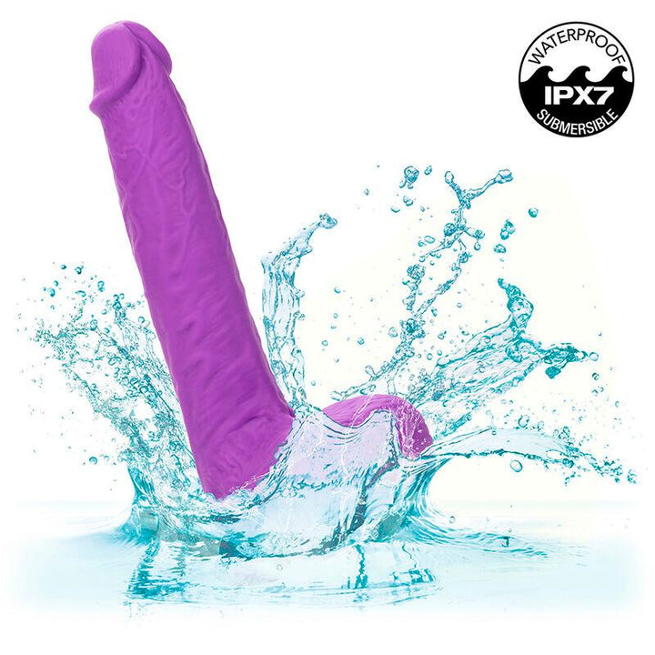 CALEXOTICS - STUDS WIEDERAUFLADBARER UND ROTIERENDER VIBRATOR 10 VIBRATIONEN LILA - INTIM SPACE Online Sexshop