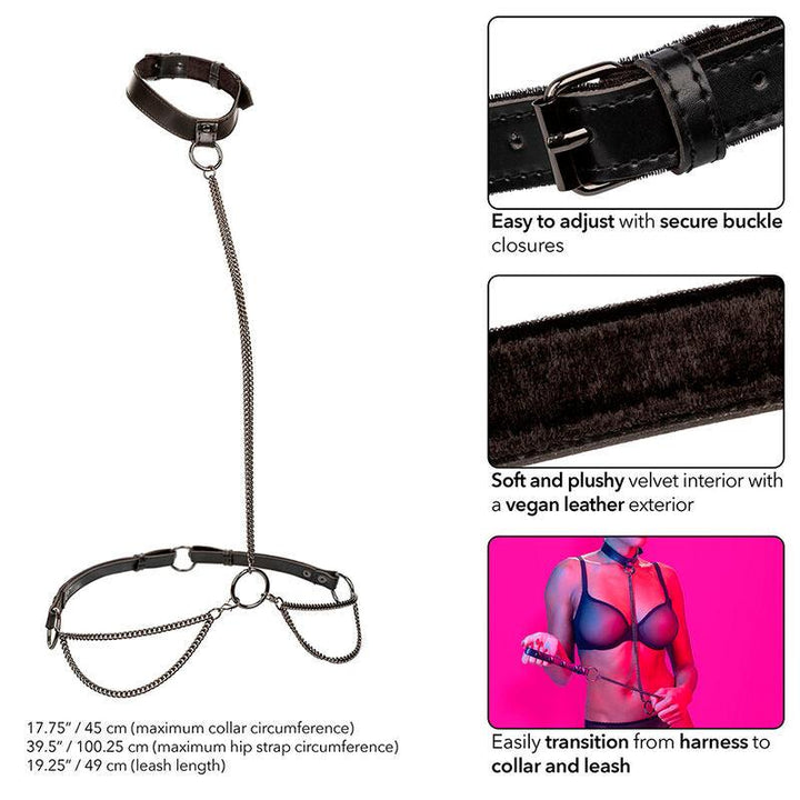 CALEXOTICS - EUPHORIA KETTENHALFTERHALSBAND UND LEINE - INTIM SPACE Online Sexshop