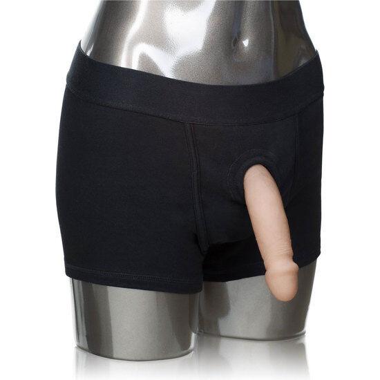 CALEXOTICS - PACKER GEAR BOXER KURZGURT M/L - INTIM SPACE Online Sexshop