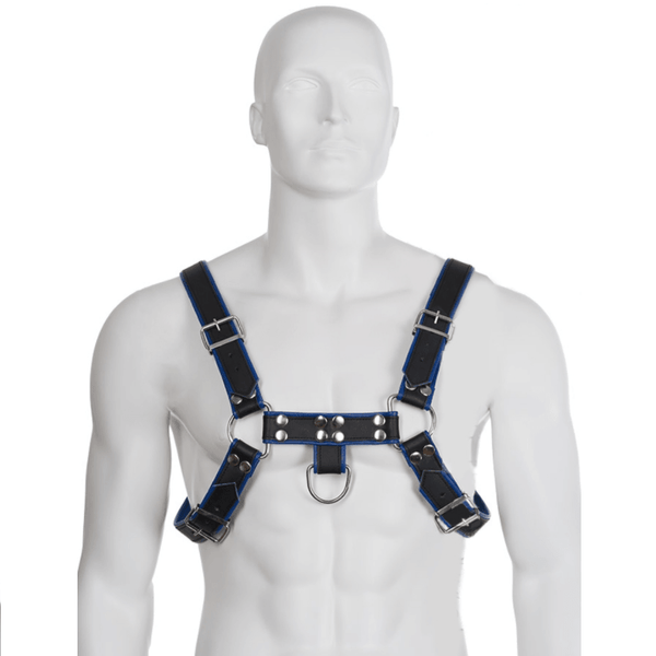 LEATHER BODY - BRUST BULLDOG HARNESS SCHWARZ - BLAU LEDER - INTIM SPACE Online Sexshop