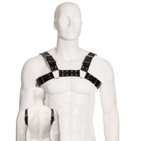 LEATHER BODY - SCHWARZ BULL DOG HARNESS - INTIM SPACE Online Sexshop